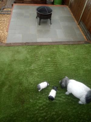 artificial grass with paving