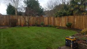 fencing and new border