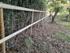 fence