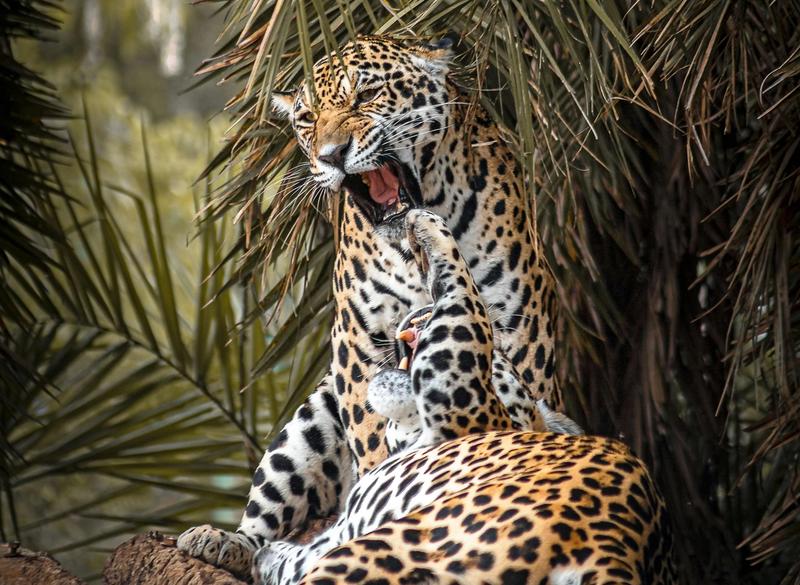 Sentindo, em voz alta