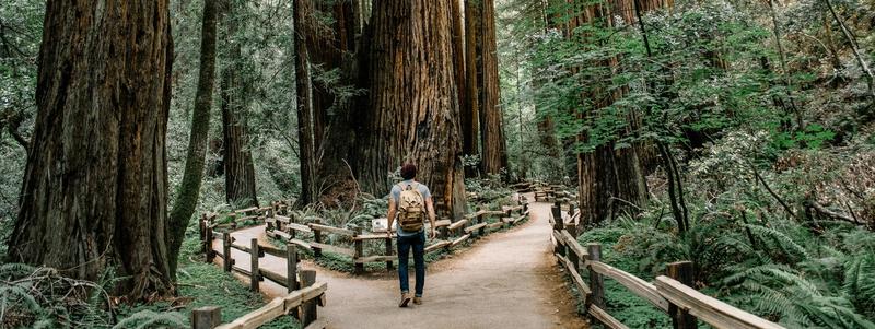 Sentindo, em voz alta