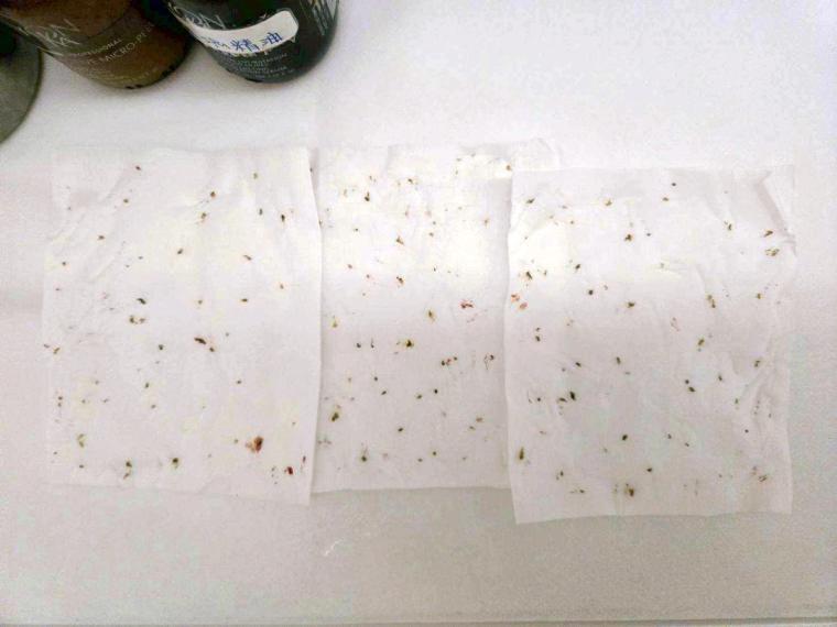 重頭戲是人工深層清潔——美容師一顆顆挑出痘痘和閉鎖性粉刺，背後這些自己搆不到的地方，交給專業最實在。