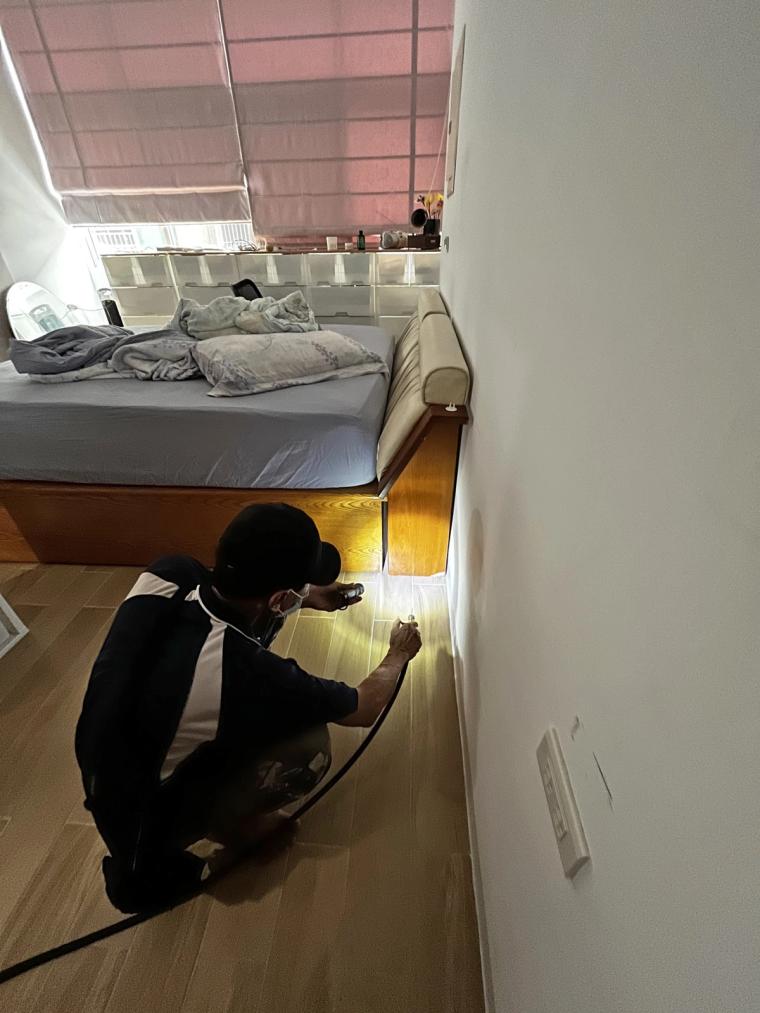 木製家具是白蟻的食物,每個角落師傅都要顧到。