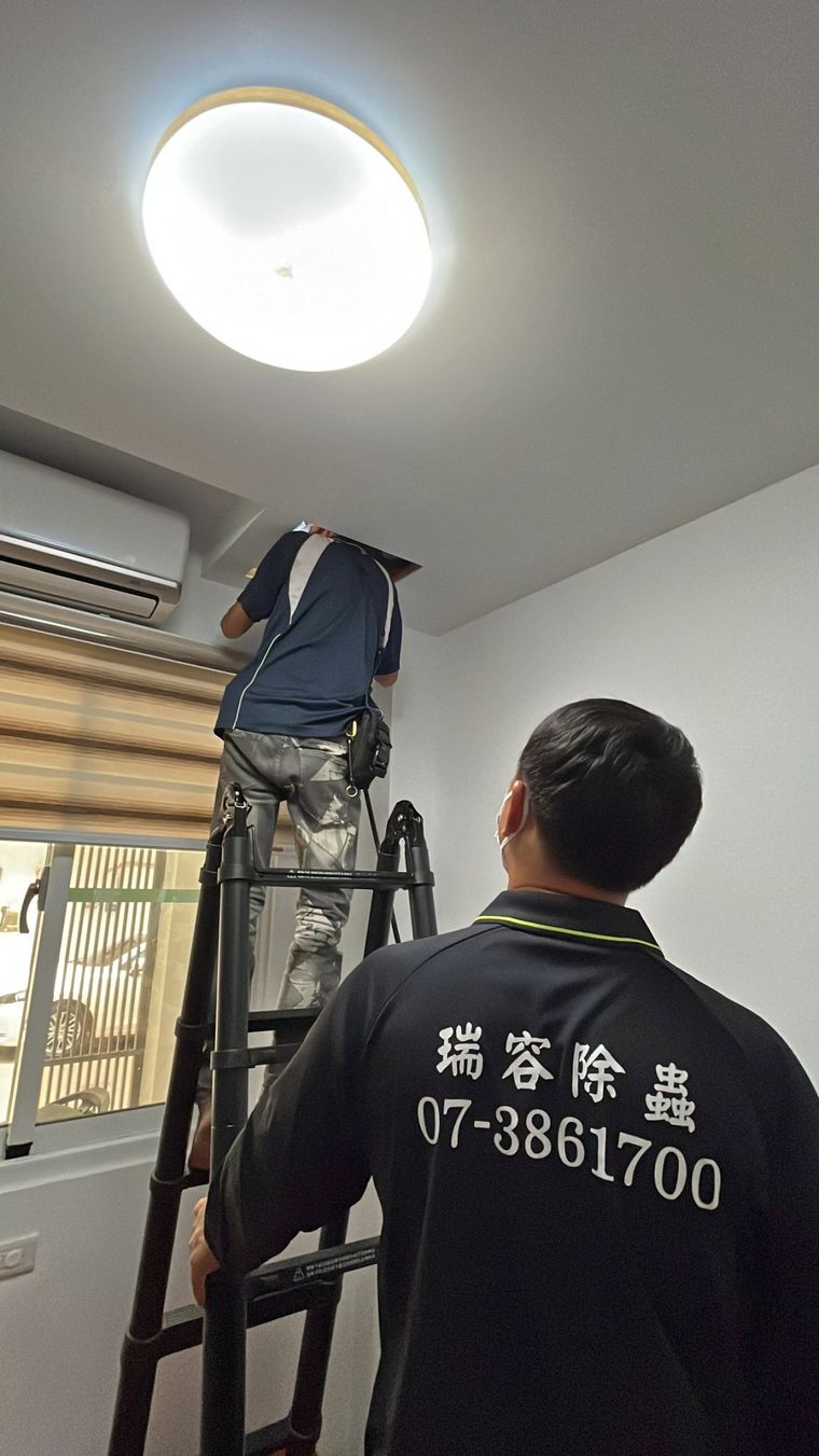 天花板裡面也不放過，實心木頭白蟻都吃得掉，更何況空心的地方。