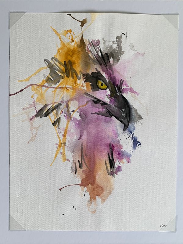 Animales de Poder / Aguila