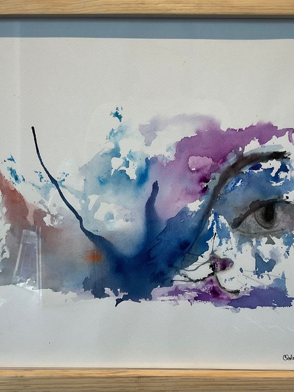 Animales de Poder / Gato