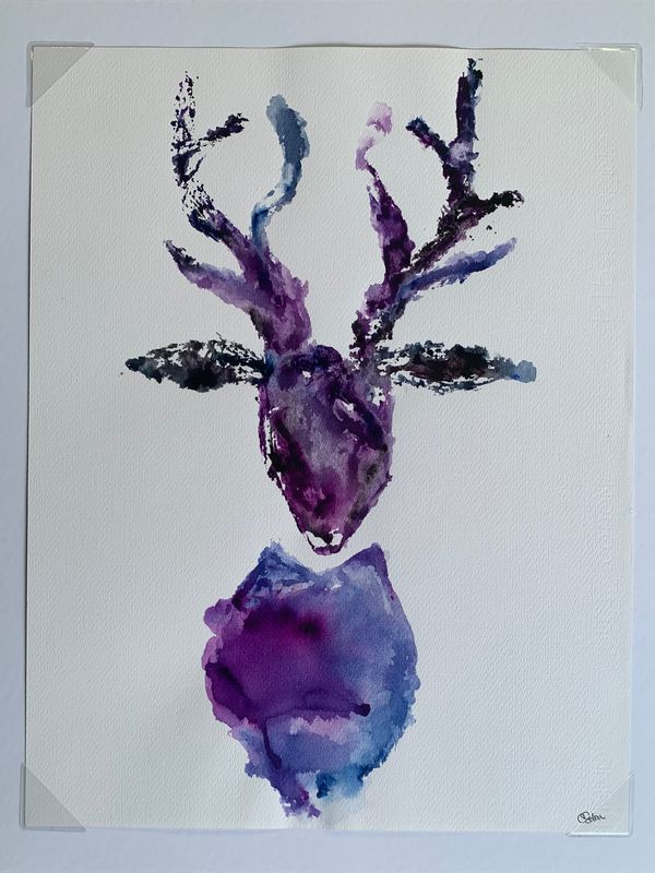 Animales de Poder / Venado