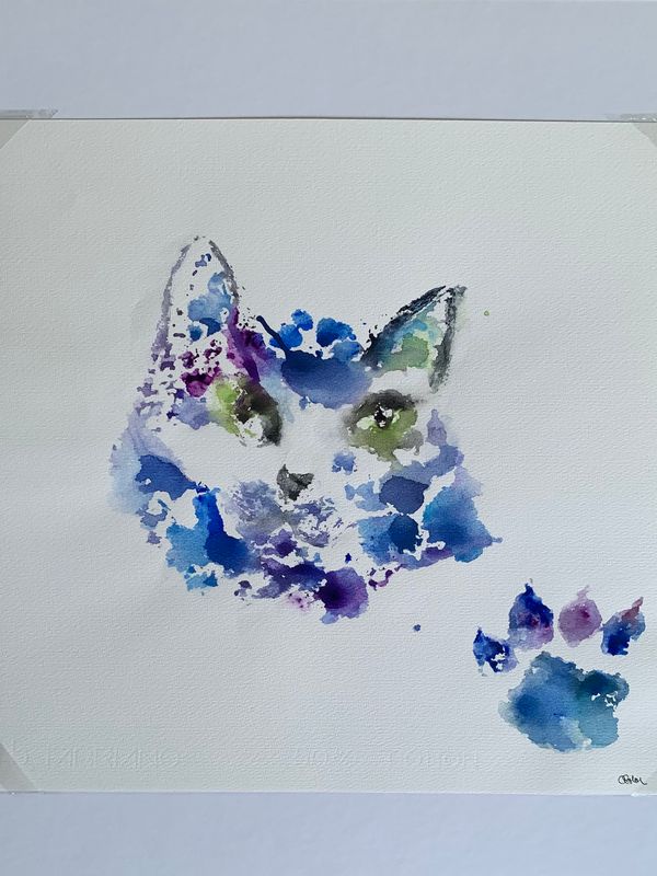 Animales de Poder / Gato