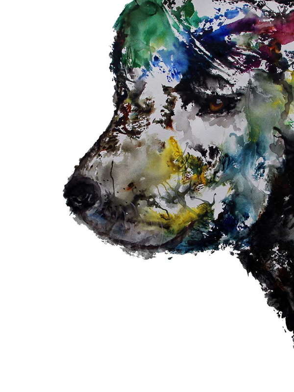 Animales de Poder / Perro