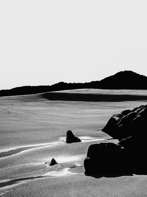 Still Life-Baja (Limited Edition of 3)