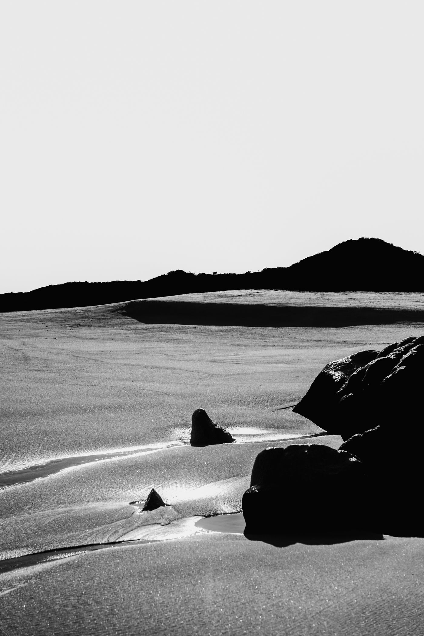 Still Life-Baja (Limited Edition of 3)