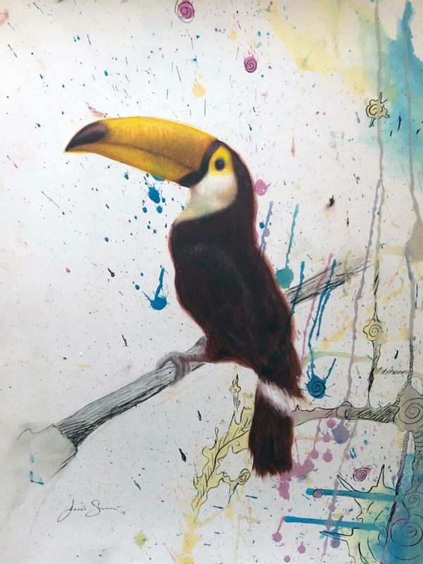 Tucán en Abstracto II