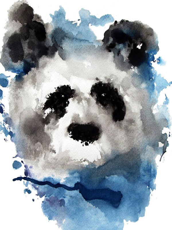 Animales de Poder / Panda