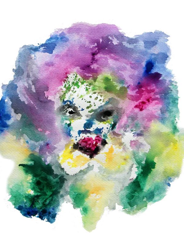 Animales de Poder / León 3