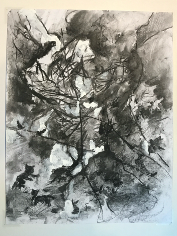 Walking in the Forest