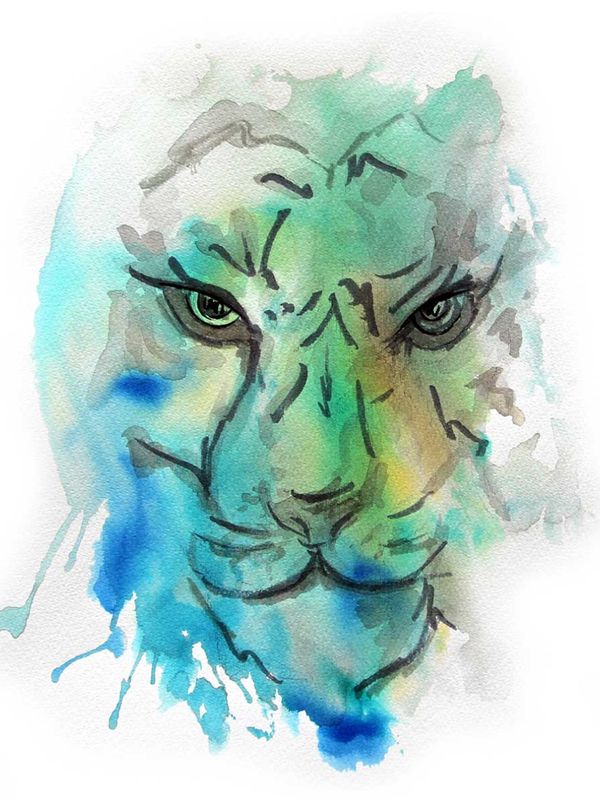 Animales de Poder / Tigre