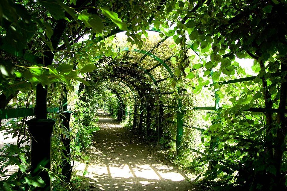 Agorafobia e claustrofobia: due facce della stessa medaglia?