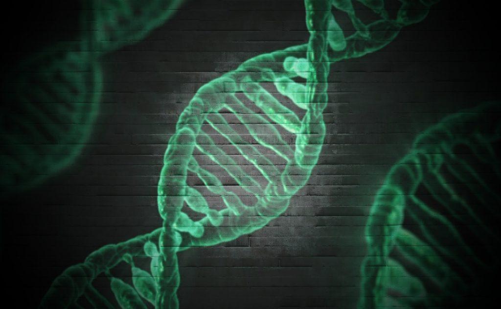 Esiste una predisposizione genetica al panico