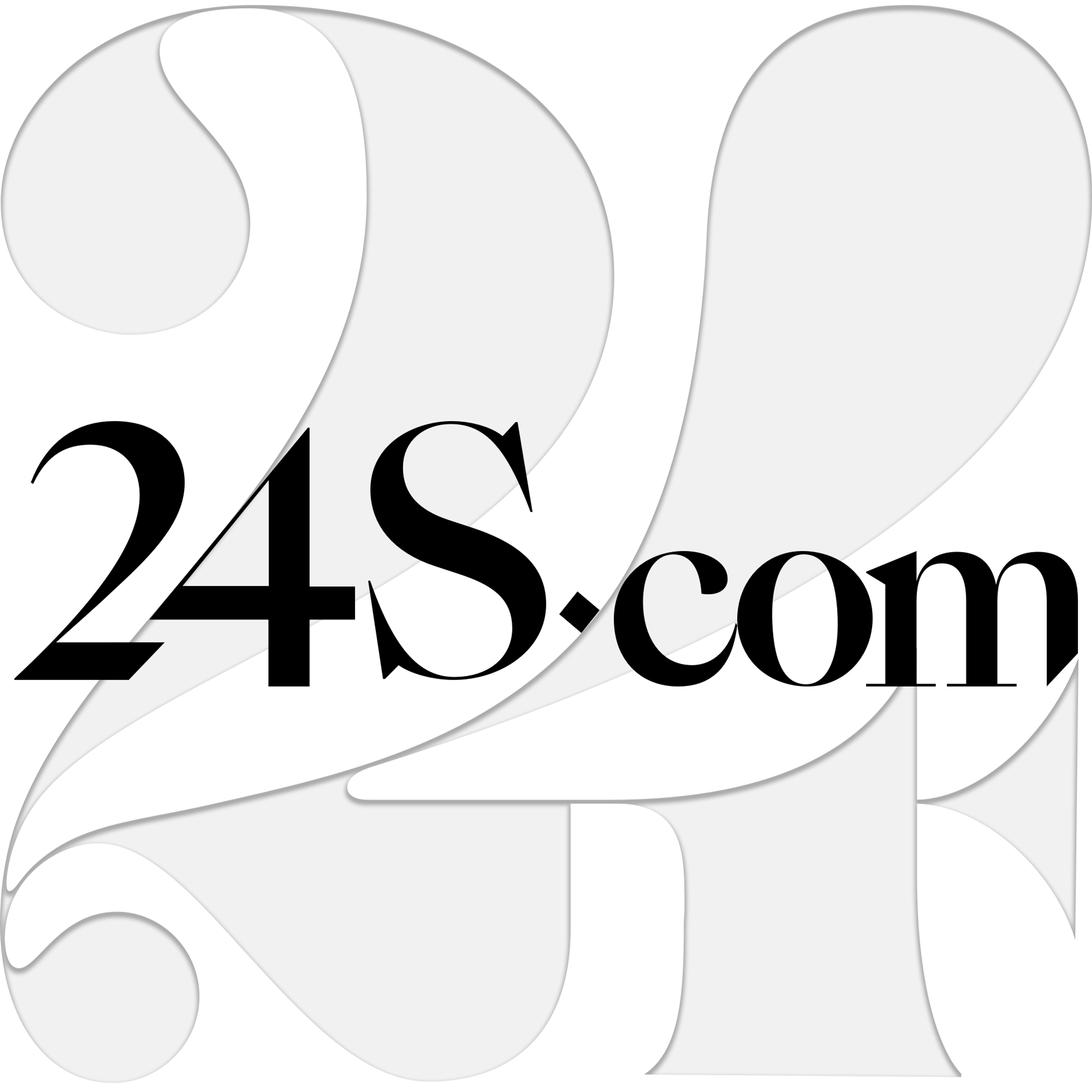 24S logo