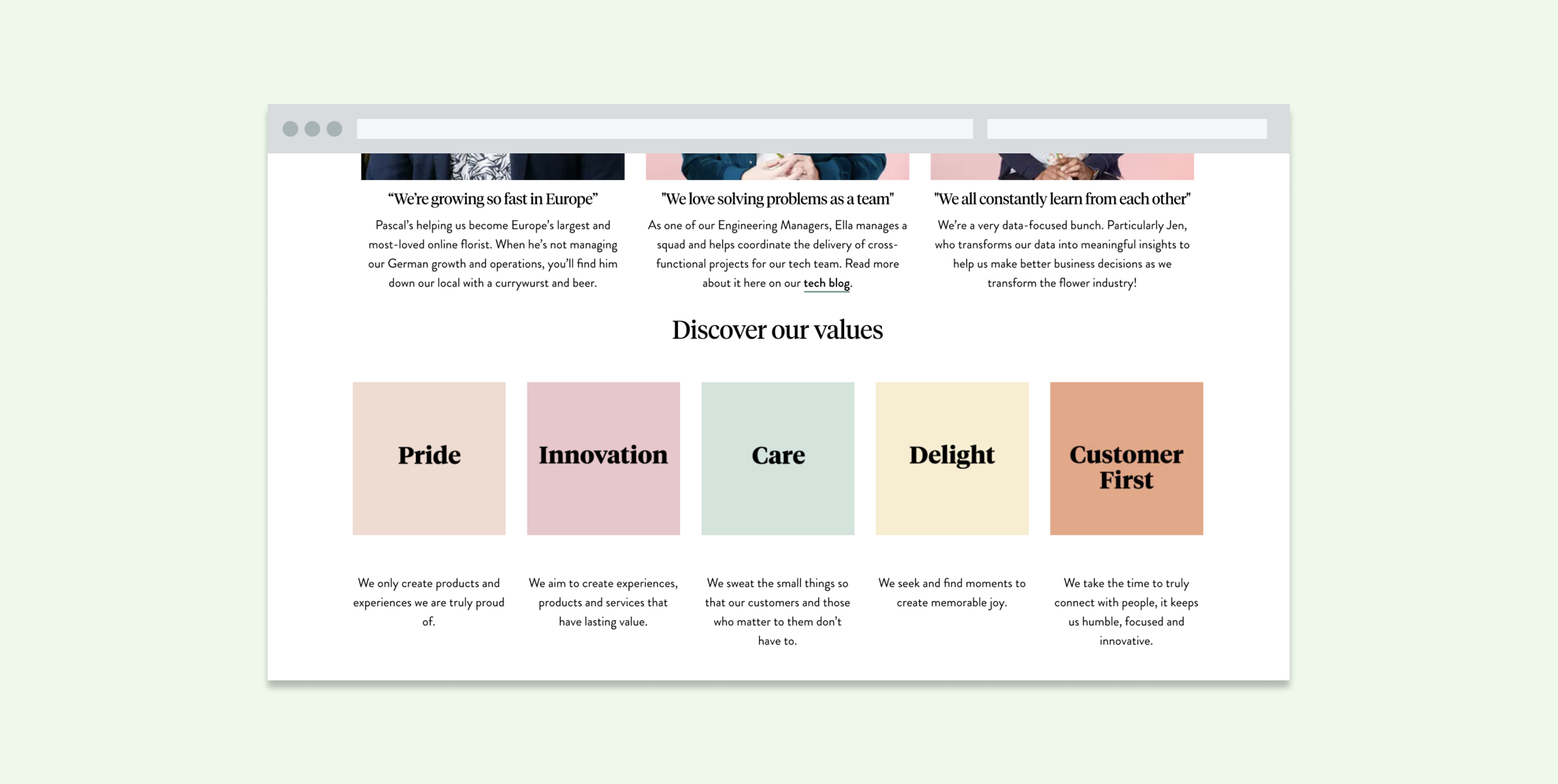 A webpage section highlighting company values with six colored boxes labeled Pride, Innovation, Care, Delight, and Customer First, accompanied by brief descriptions of each value.