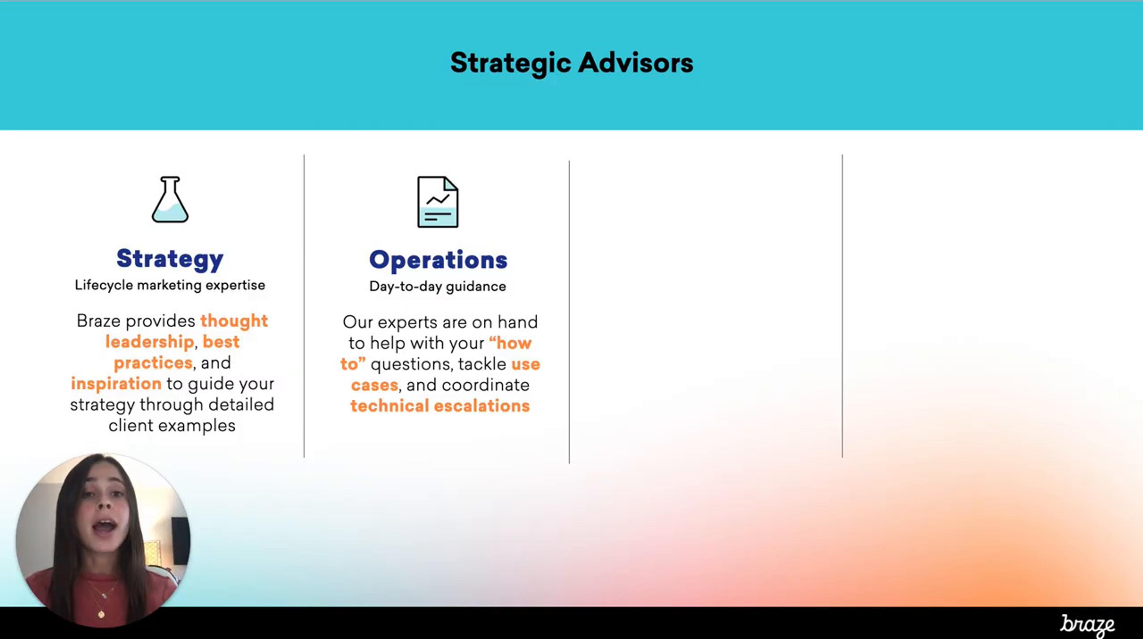 Educational-Strategic Advisors vs. Troubleshooters
