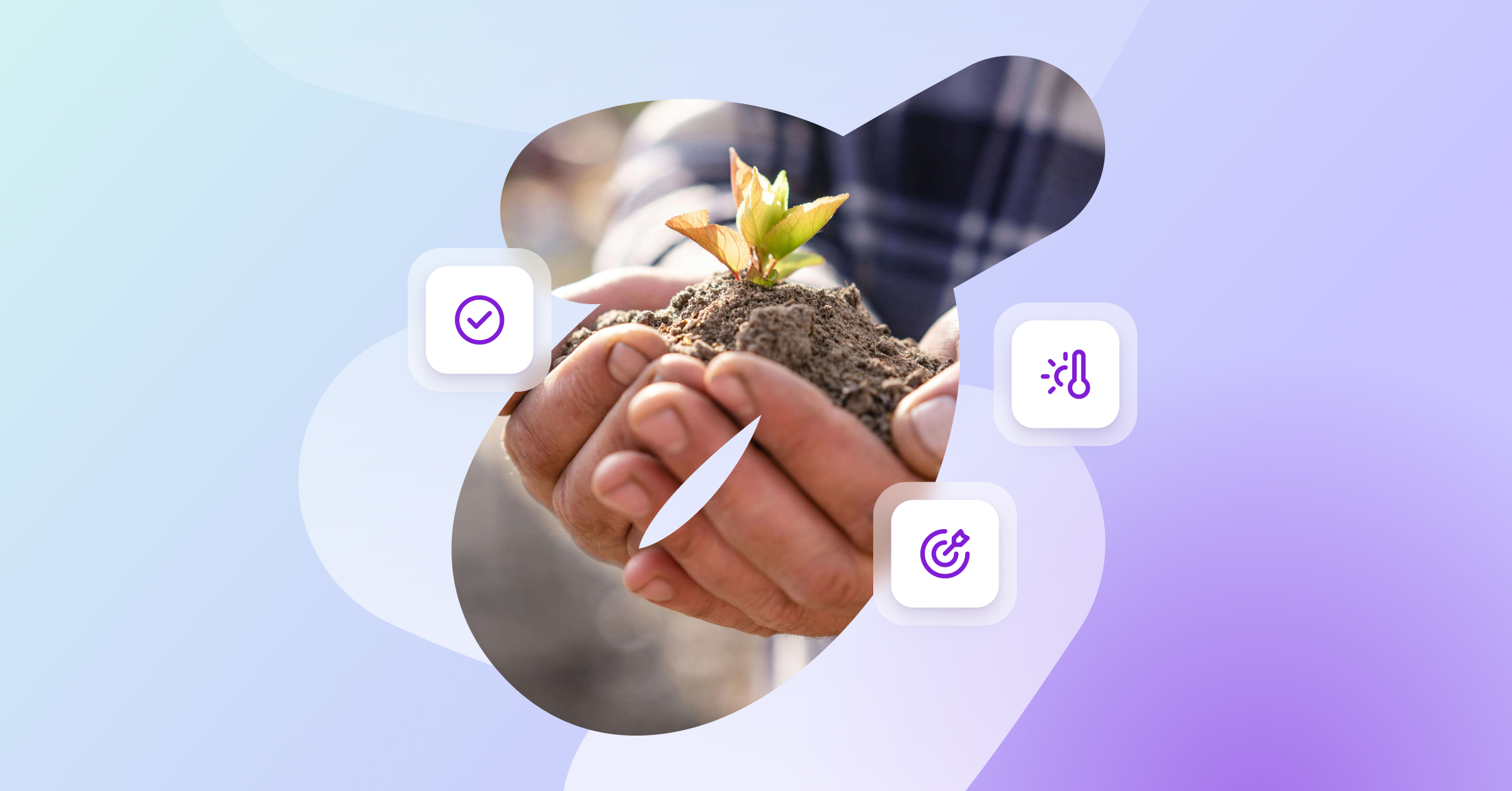 a person is holding a small plant in their hands