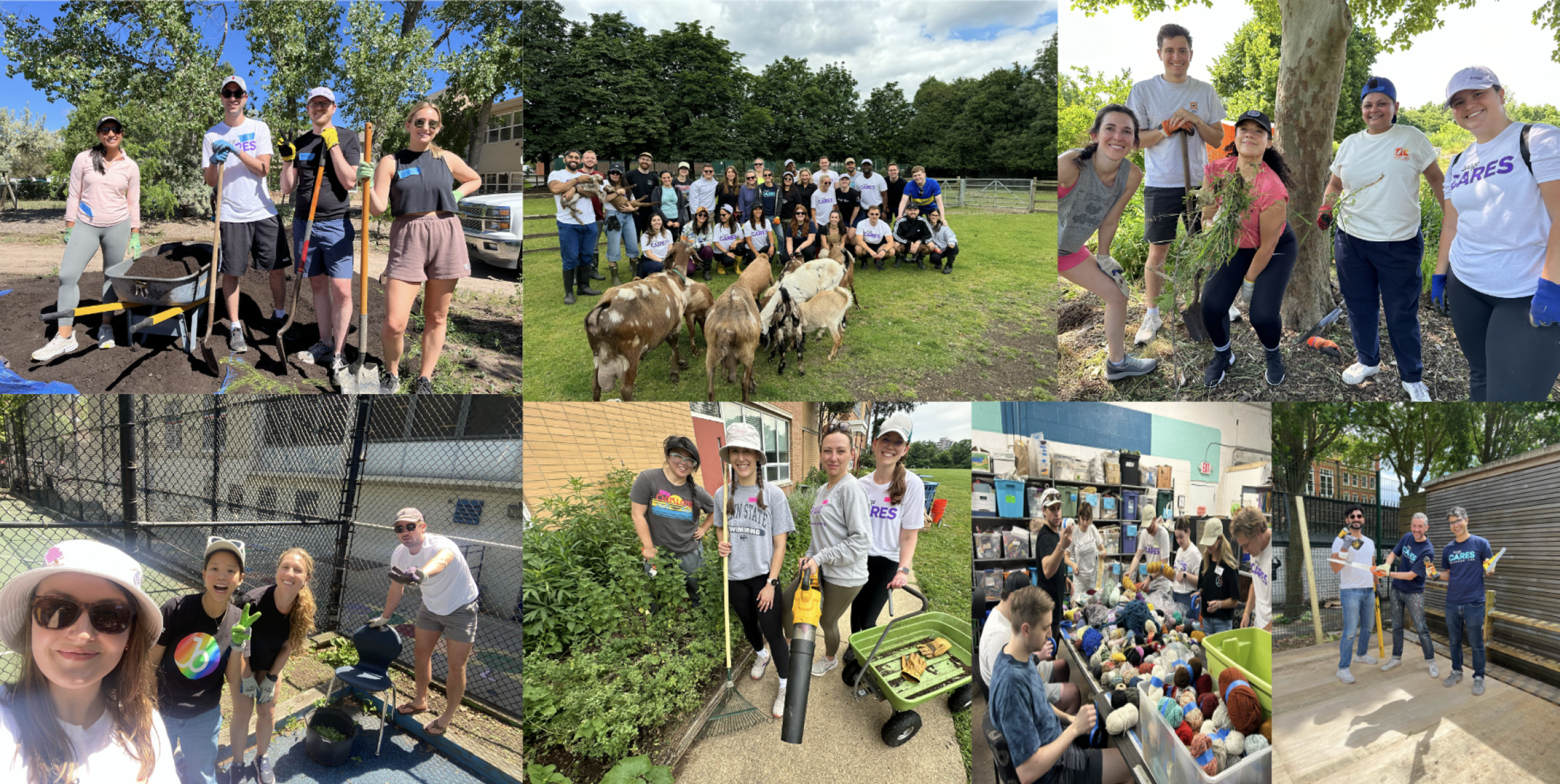 A collage of community service activities, including groups of people gardening, working with animals, cleaning up, and organizing supplies. Participants are smiling and engaged in various volunteer efforts.