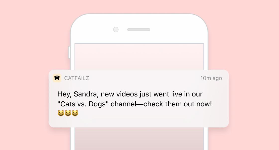A mobile notification from CATFAIZ alerts Sandra about new videos in the "Cats vs. Dogs" channel. The background is a soft pink color.