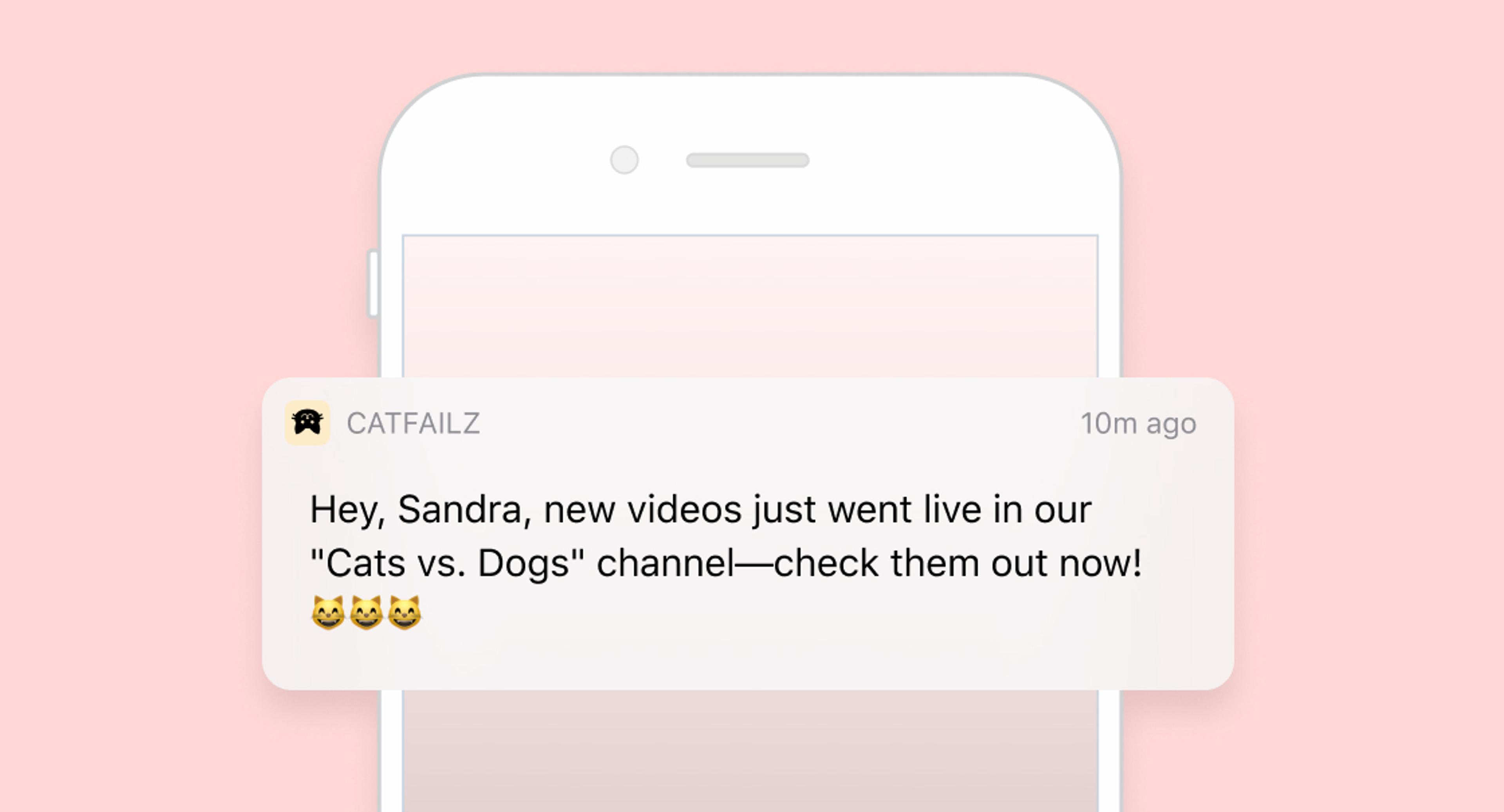 A mobile notification from CATFAIZ alerts Sandra about new videos in the "Cats vs. Dogs" channel. The background is a soft pink color.