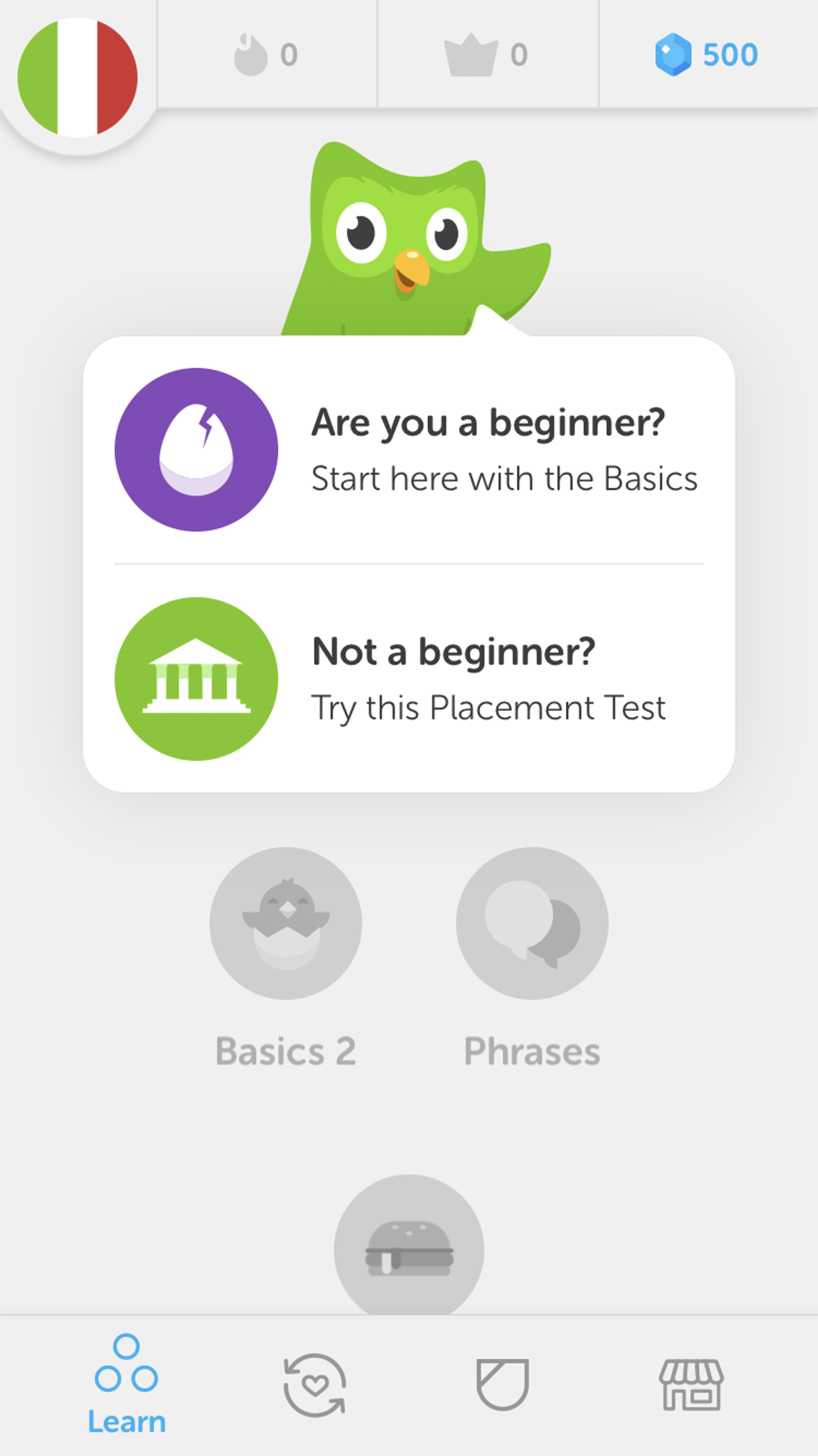 A green owl character with a speech bubble asking if the user is a beginner or not, with options to start with the Basics or take a Placement Test. The background features icons related to learning.