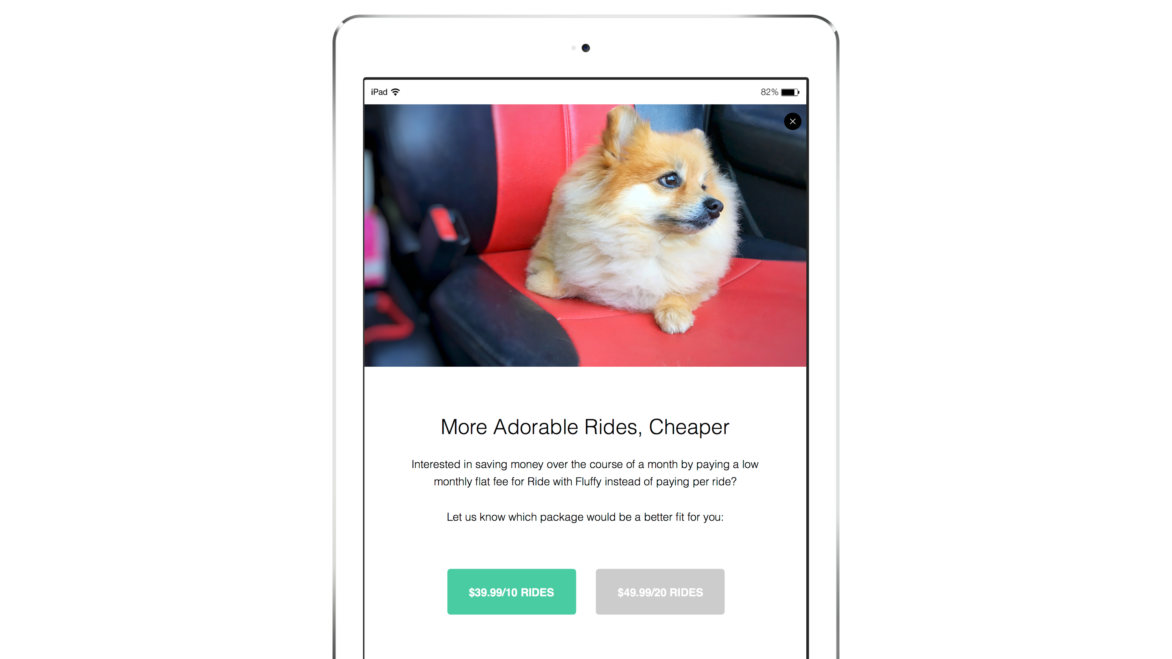 A small, fluffy dog sitting on a red seat inside a vehicle. The screen displays information about ride packages for pets.