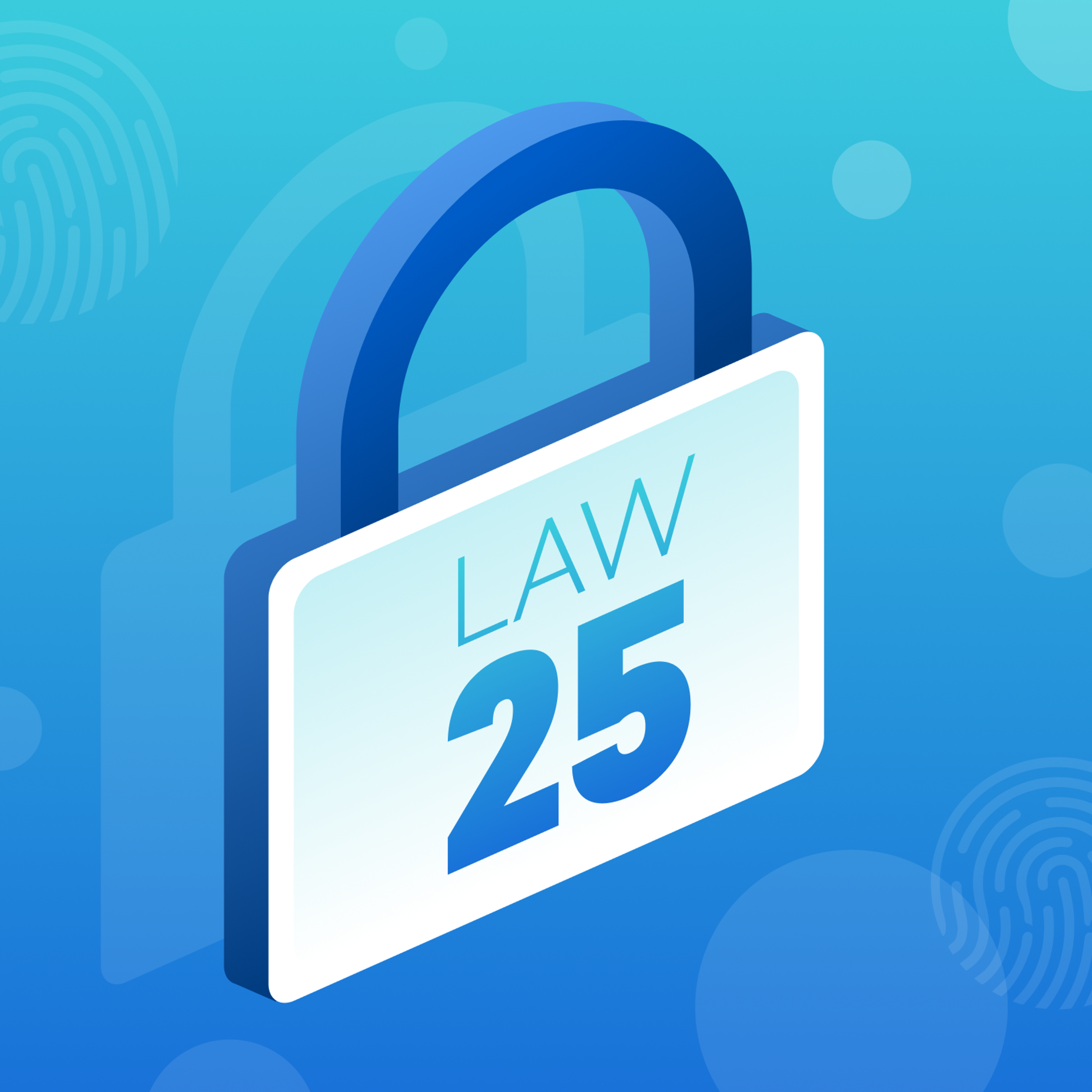 Navigating Quebec’s New Privacy Law