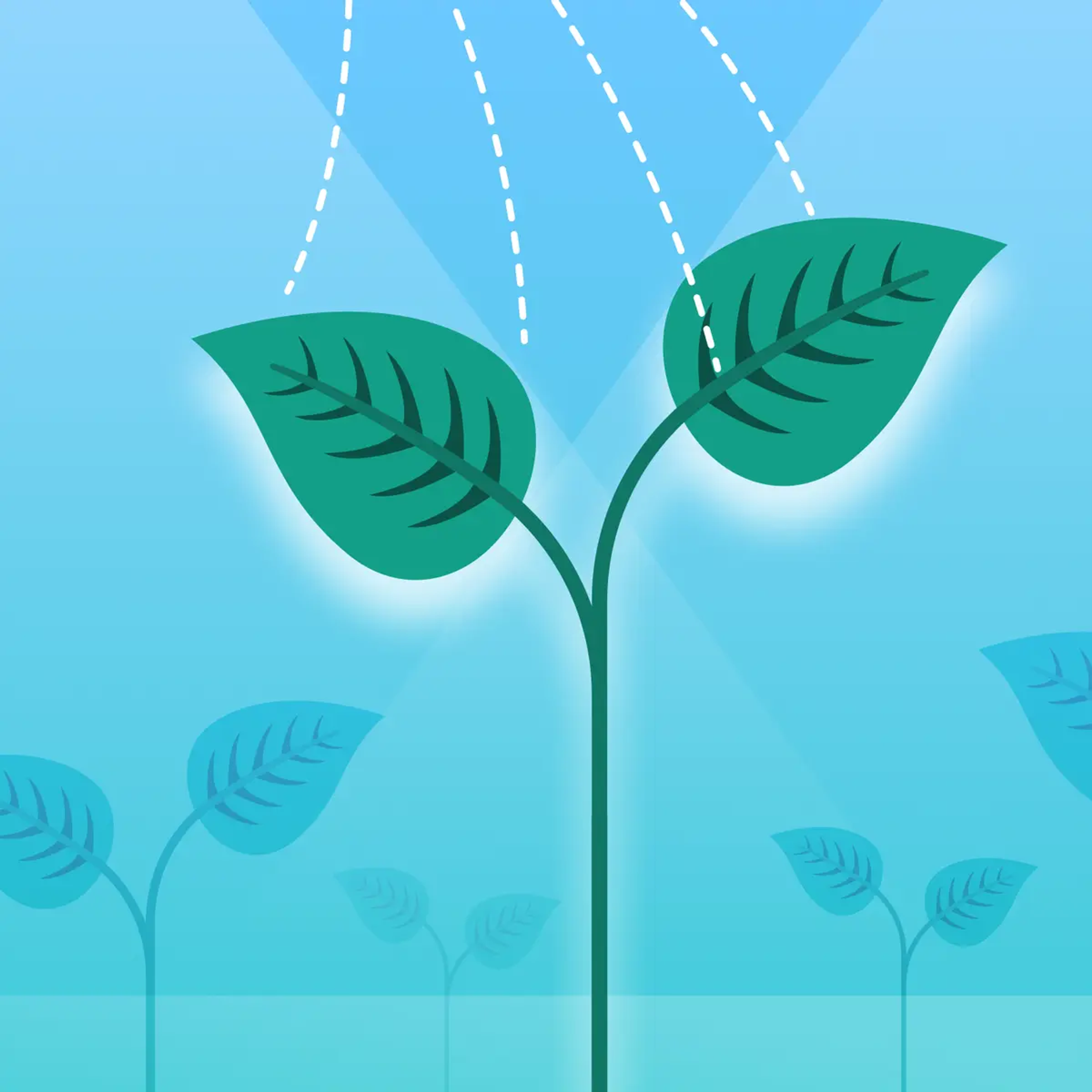 Planta verde estilizada com duas folhas iluminadas por linhas tracejadas, contra um fundo azul.