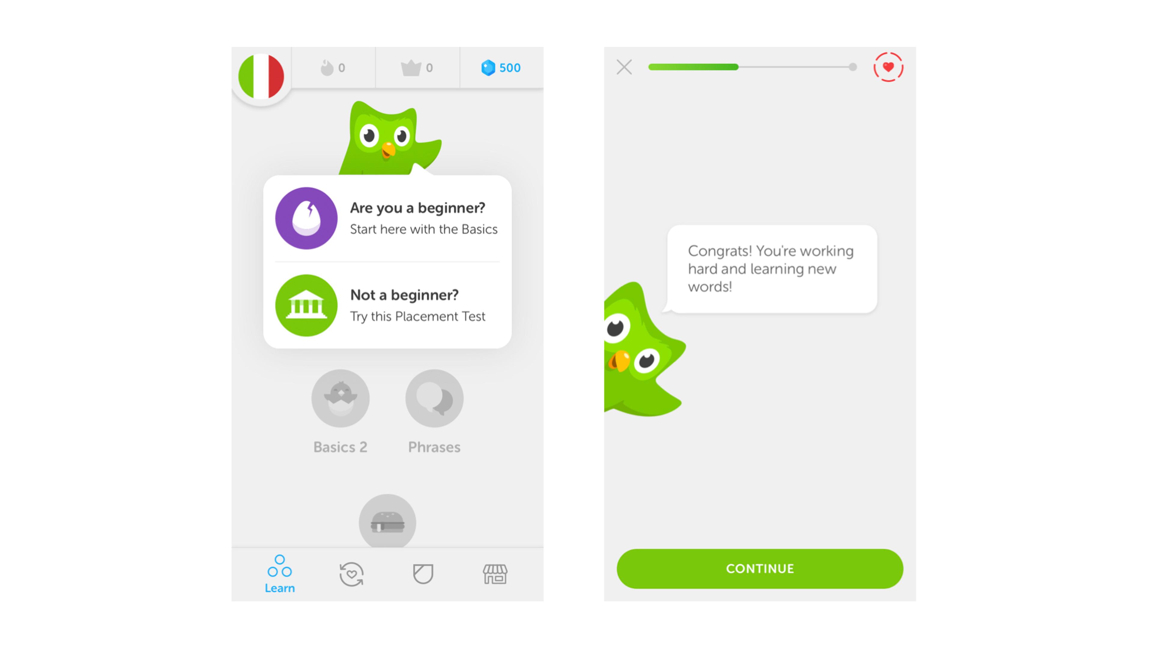 A language learning app interface displaying a friendly green owl character. The screen prompts users to identify their skill level with options for beginners and advanced learners.