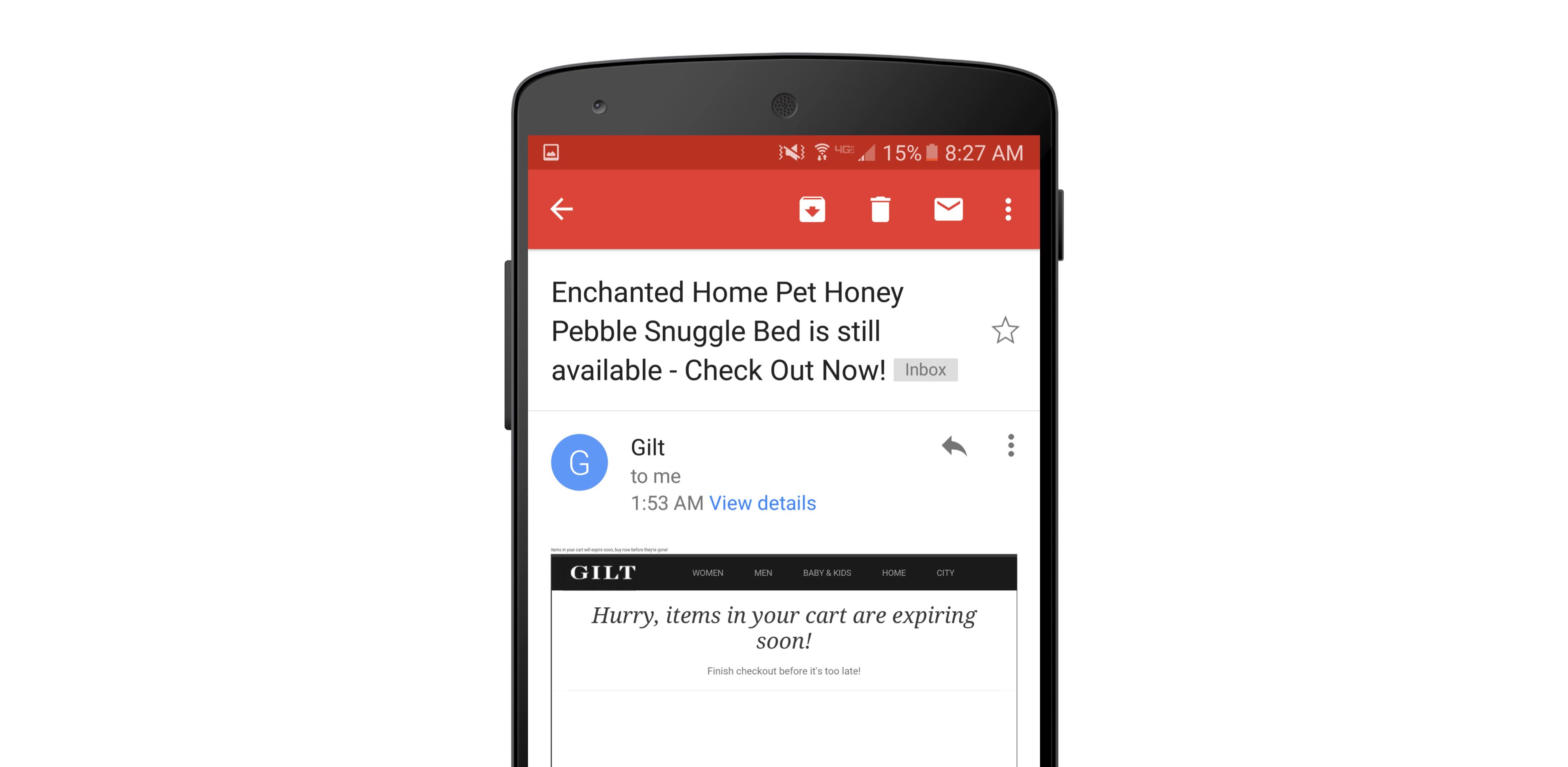 A smartphone screen displaying an email notification about a pet bed availability and a reminder about items in a shopping cart expiring soon.