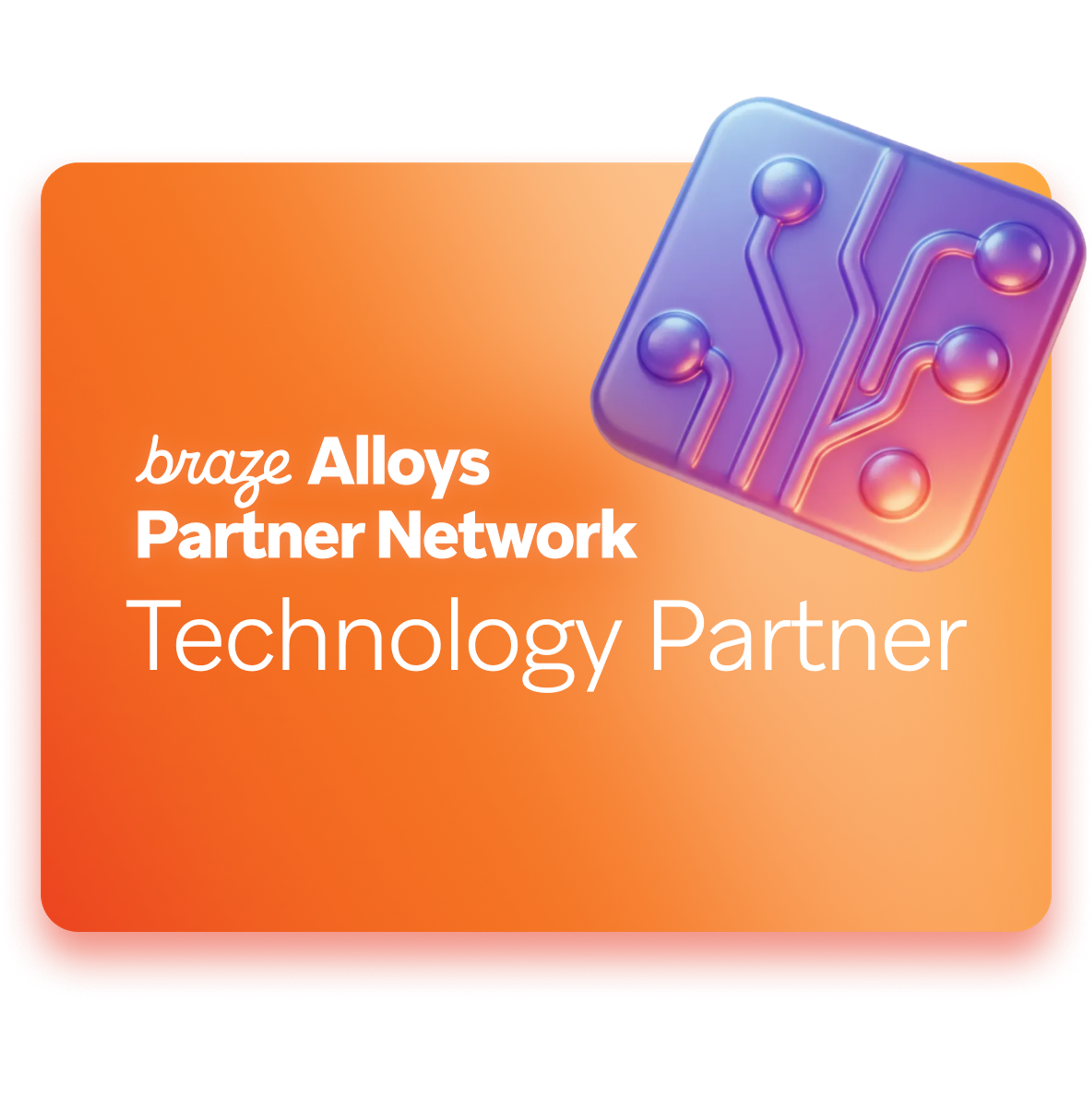 Graphic with two interlocked 3D puzzle pieces (blue and pink) on a pink gradient background. Text reads: "braze Alloys Partner Network Delivery Partner".