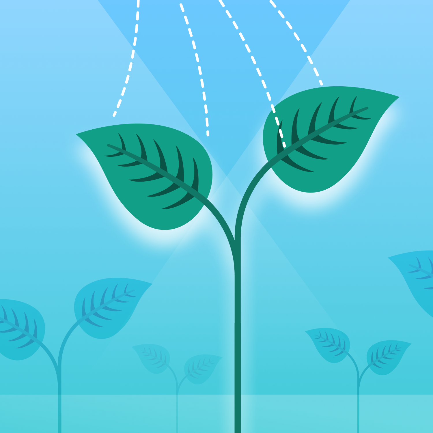 a seedling on a blue background