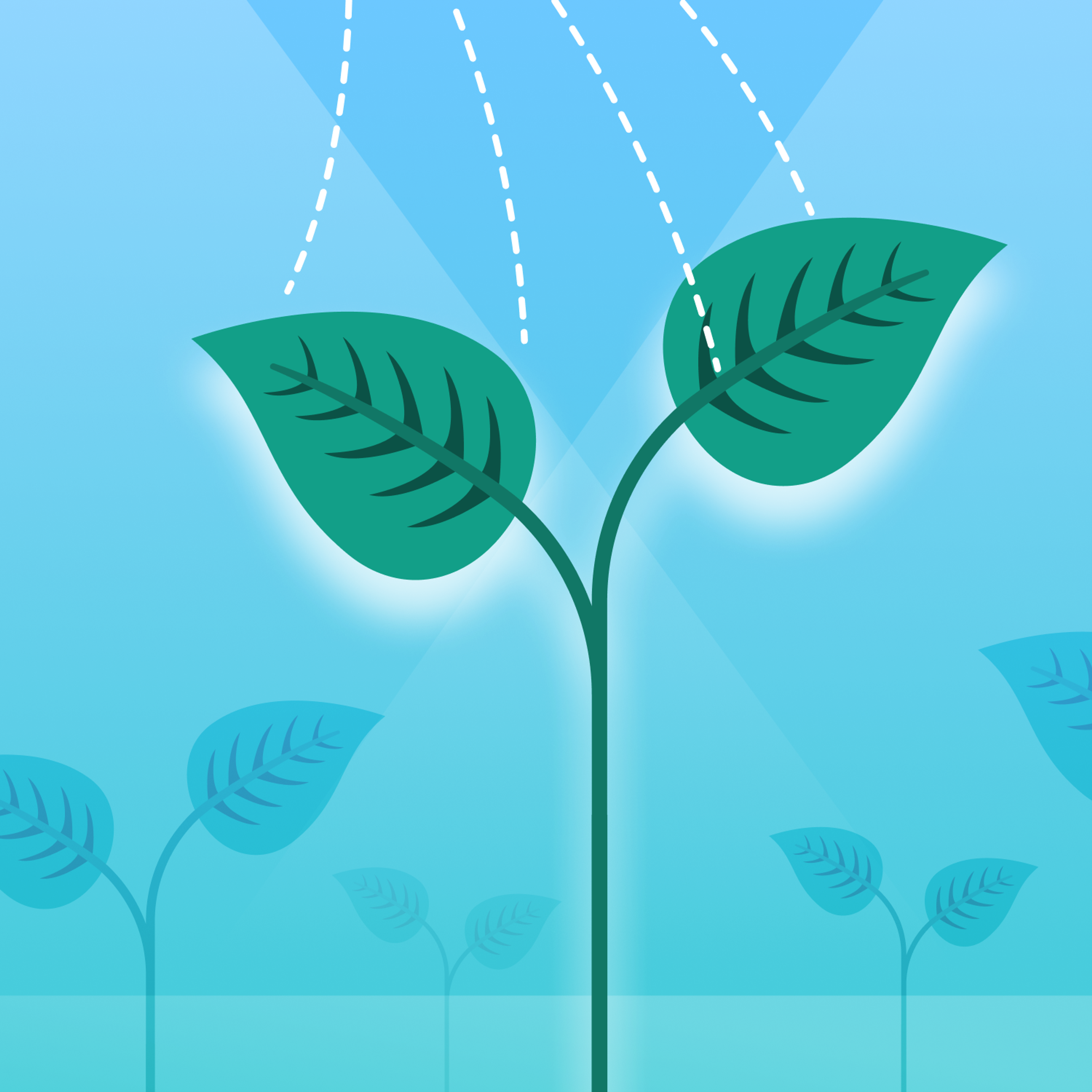 a seedling on a blue background