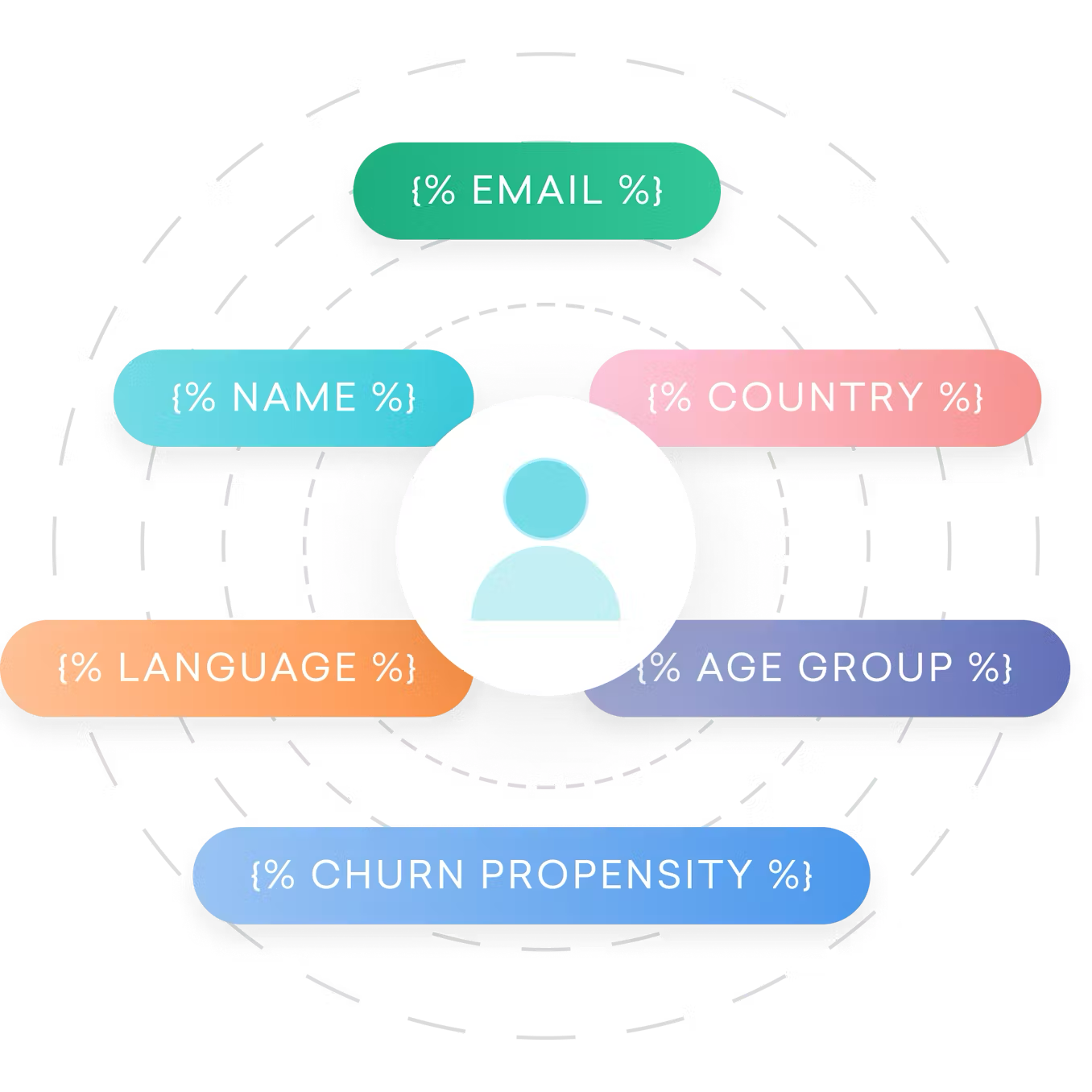 a graphic showing the percentages of a person 's name email language and age group