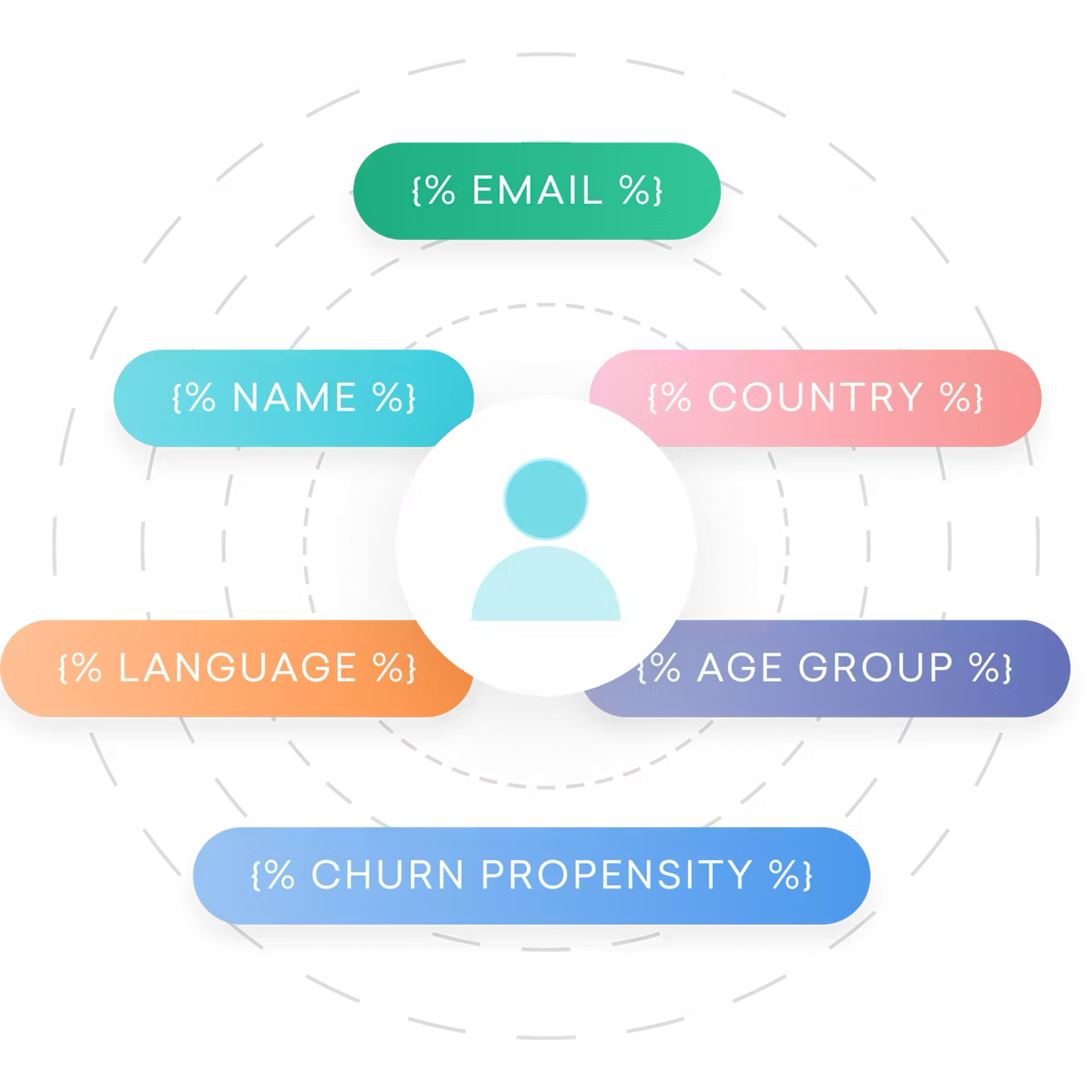 a graphic showing the percentages of a person 's name email language and age group