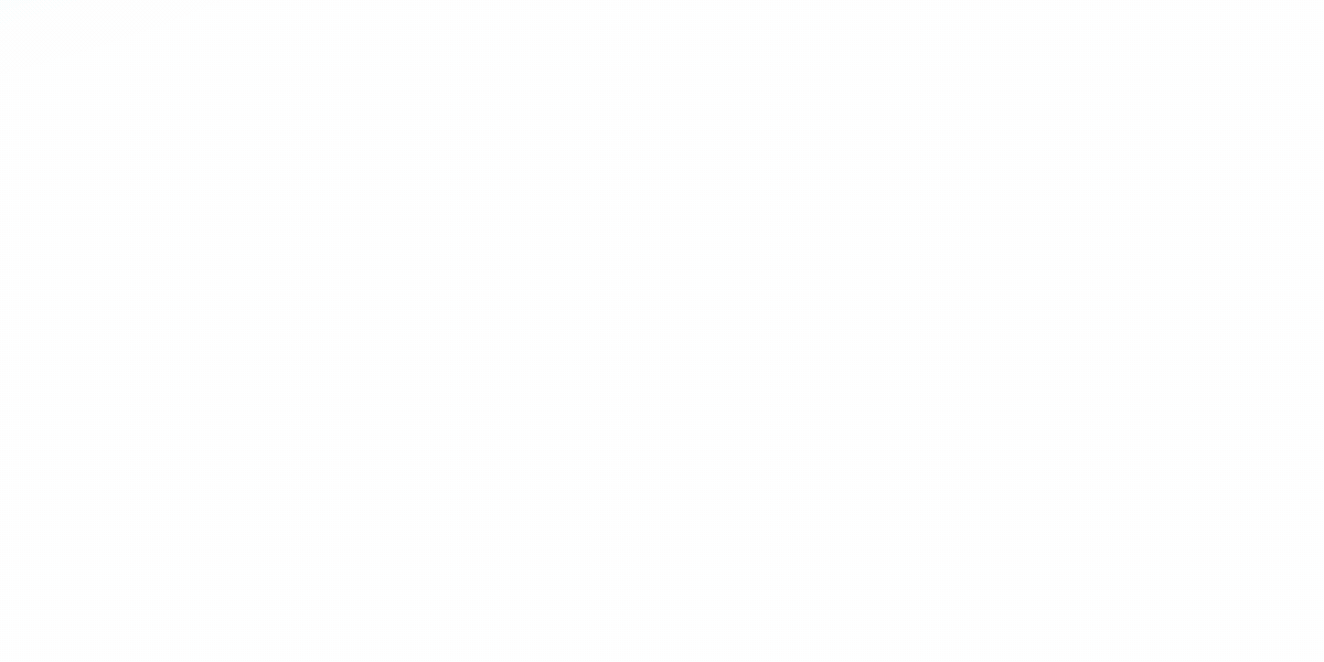 A blank white background with no visible content.