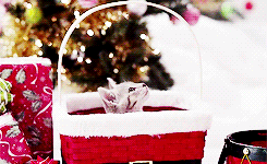 A small kitten peeks out from a red basket decorated with white trim, surrounded by festive holiday decorations and a Christmas tree in the background.
