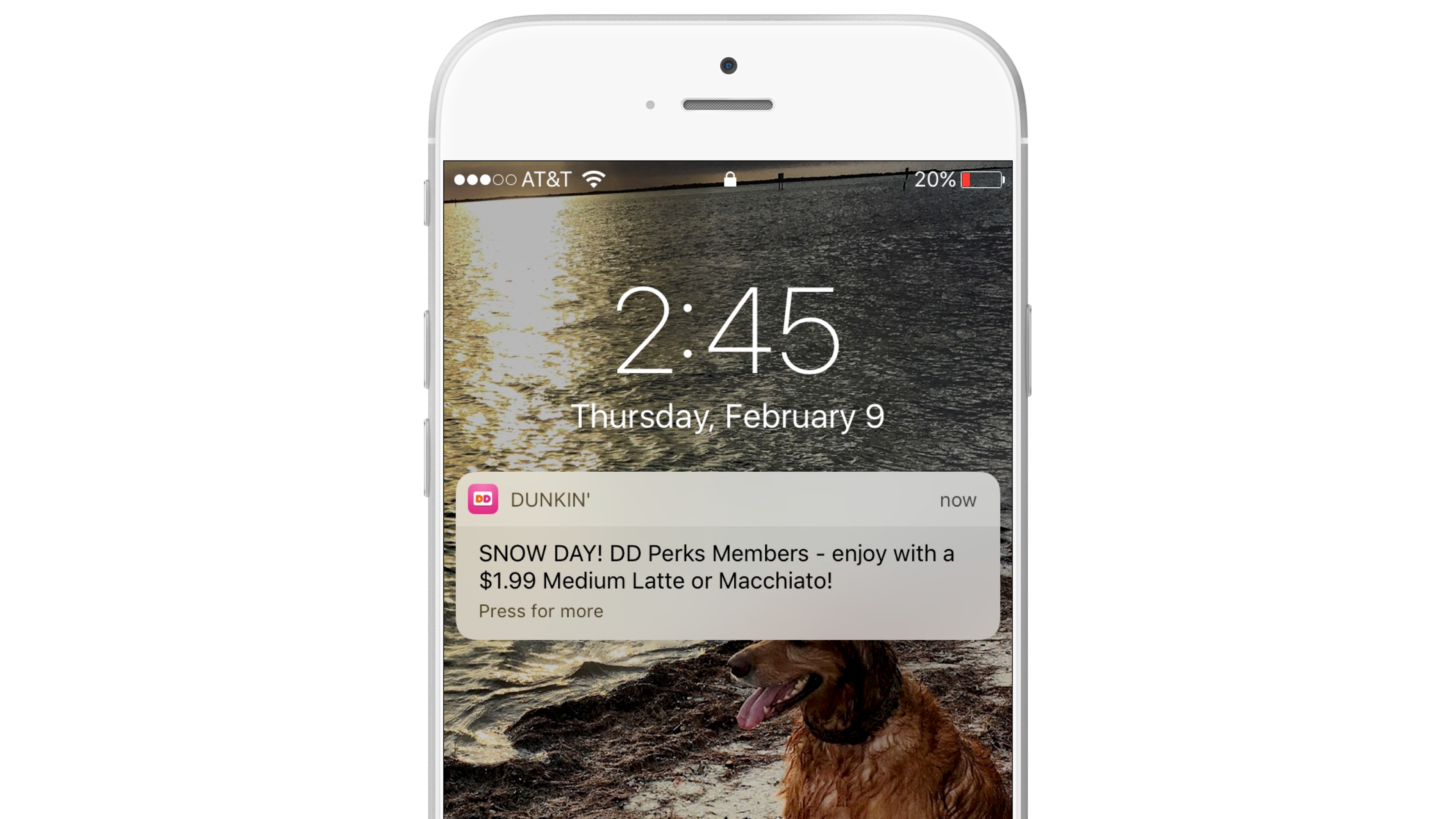 A smartphone screen displaying a notification from Dunkin' about a special offer for DD Perks members, with a scenic background of water and a dog. The time is 2:45 PM on February 9.