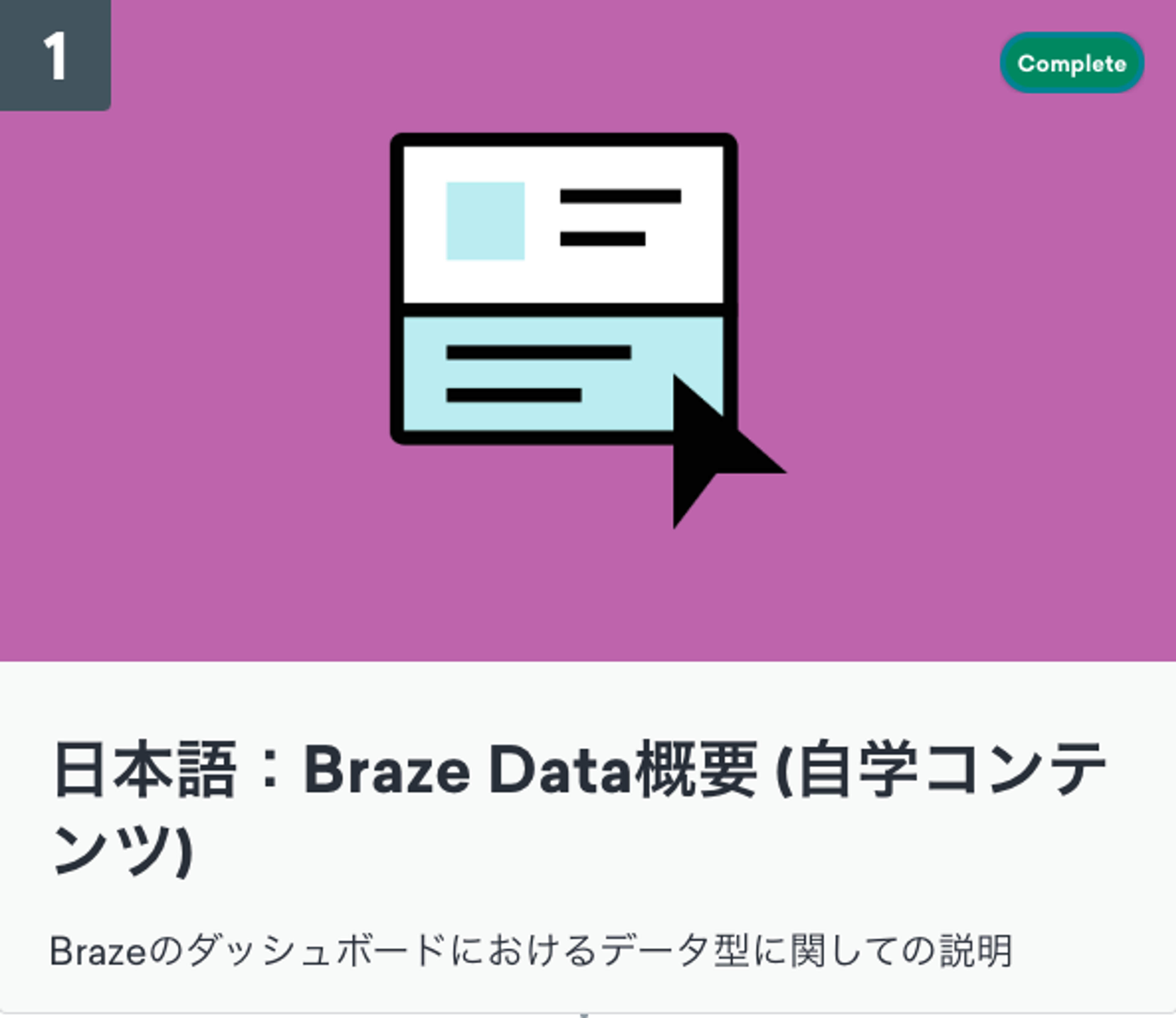 Brazeのダッシュボードにおけるデータ型に関する説明を示す画像。日本語でのBraze Data概要。