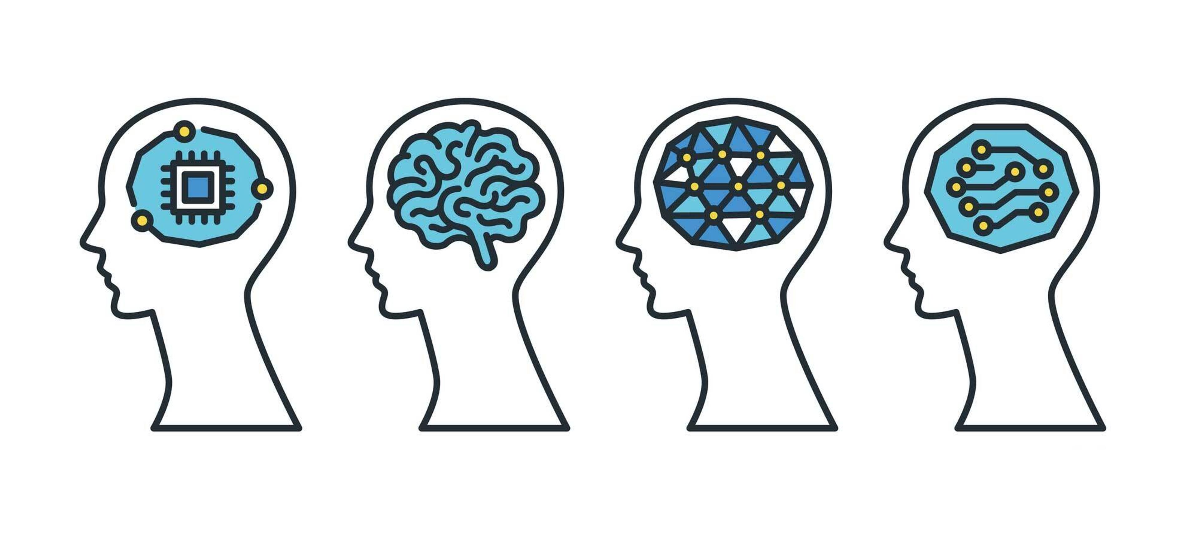 a set of four heads with different types of brains .