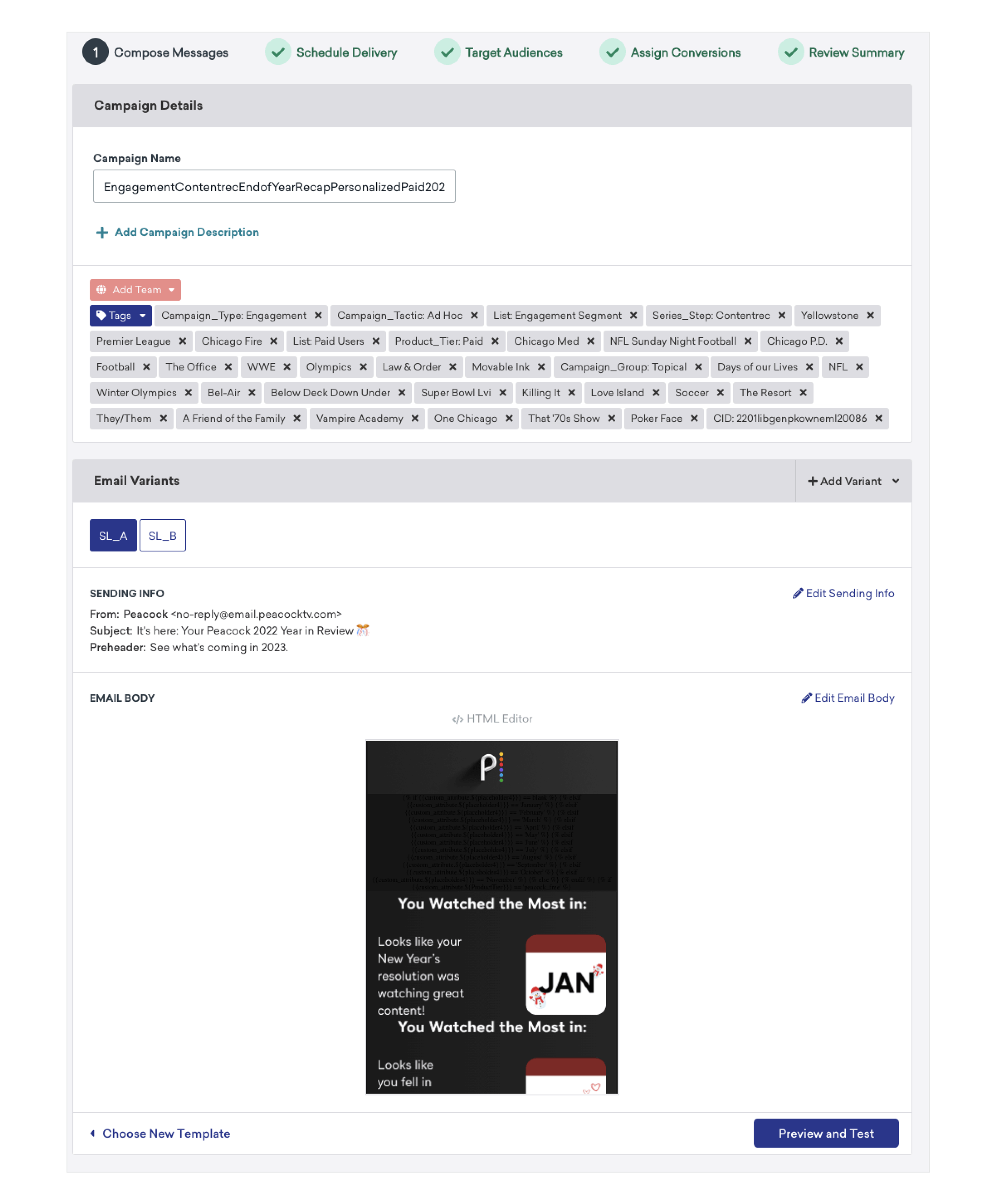 A screenshot of an email campaign creation interface, displaying campaign details, tags, and email body content. The layout includes options for scheduling, targeting audiences, and reviewing the summary.