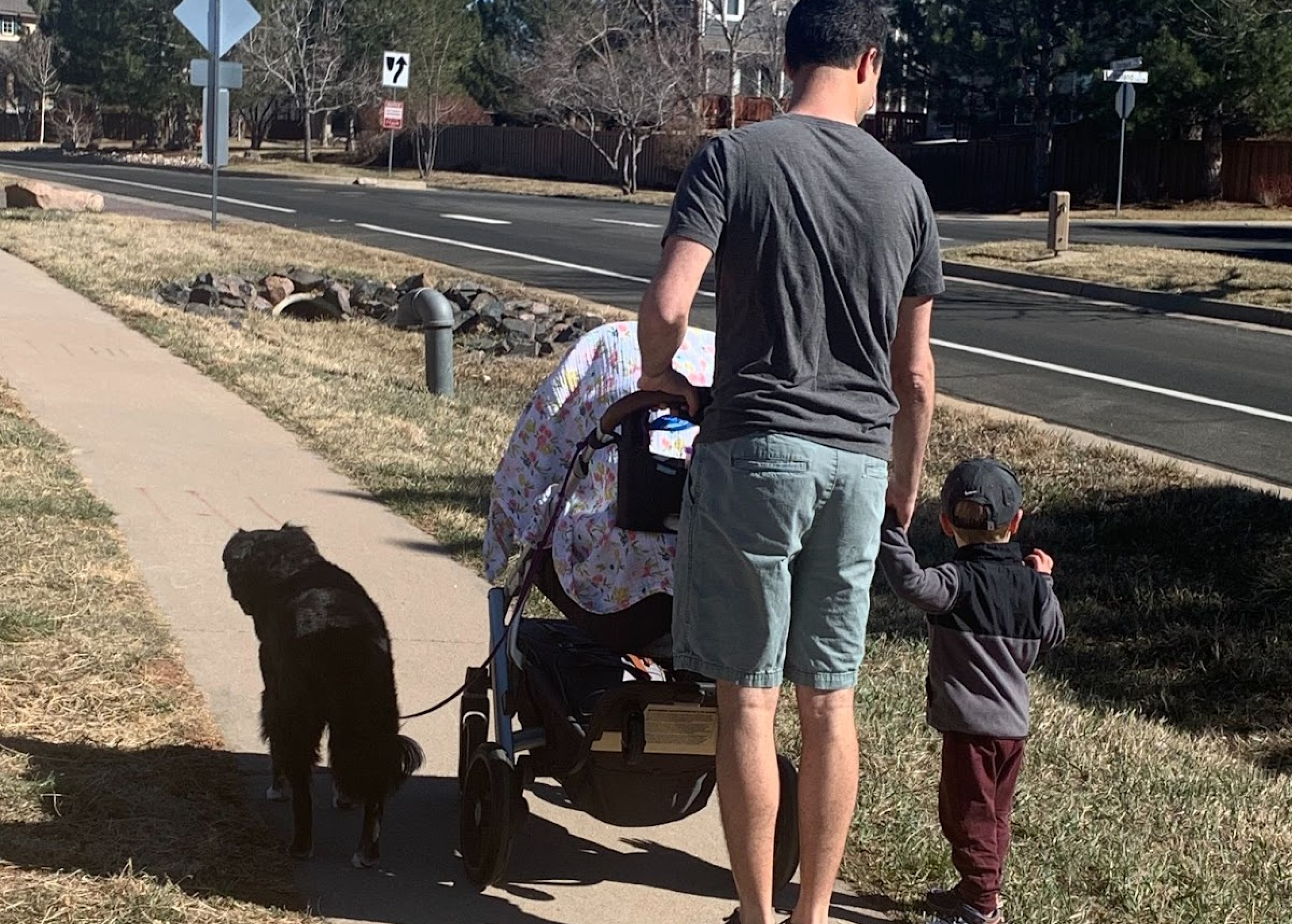 A man walks along a sidewalk with a stroller, a young child holding his hand, and a dog beside them. The scene is set in a suburban area with trees and a road in the background.