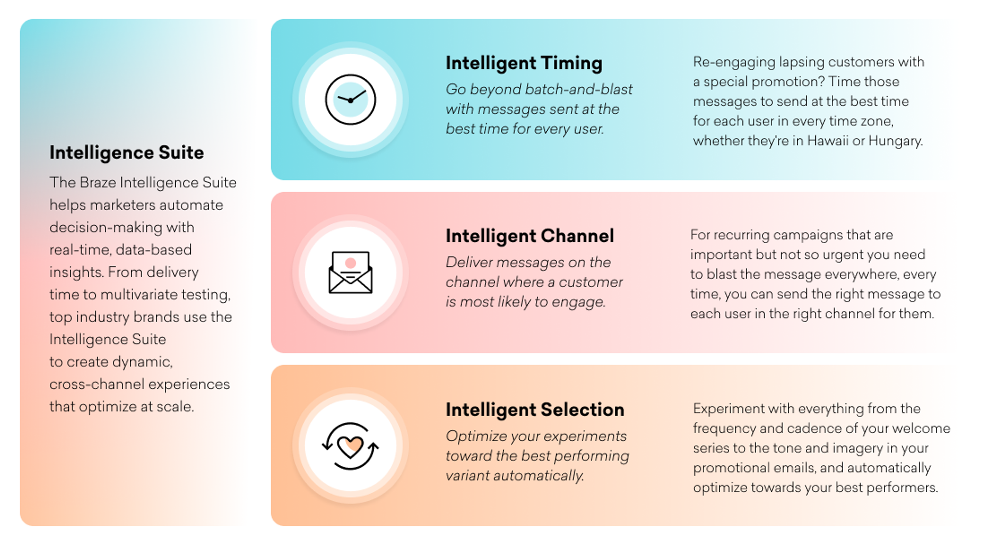 The Braze Intelligence Suite