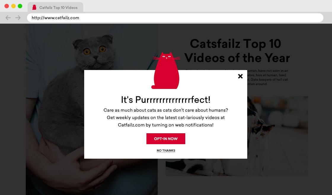 A pop-up message on a website featuring a cartoon cat, inviting users to subscribe for updates about cat videos. The background shows a person holding a cat and a list of top videos.