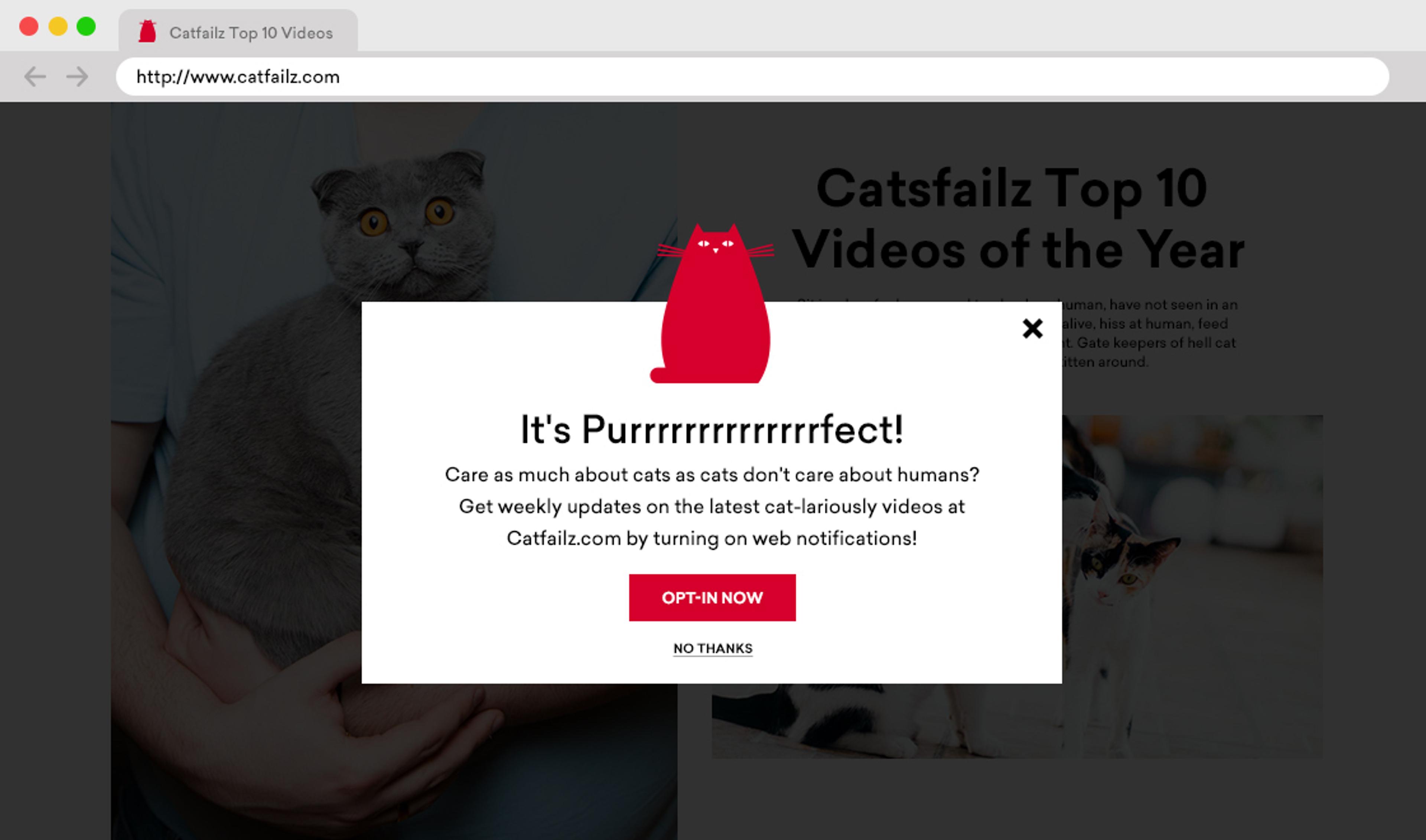 A pop-up message on a website featuring a cartoon cat, inviting users to subscribe for updates about cat videos. The background shows a person holding a cat and a list of top videos.